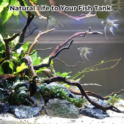 FISCAPE Aquarium Rocks & Driftwood Decor Kit, 2-8 Inches Natural Seiryu Stone 4 PCS for Aquascaping, 6-10 Inches Natural Driftwood 2 PCS for Fish Tank Decoration, Reptile and Amphibian Enclosures