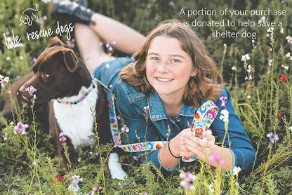 Lucky Love Dog - Easy Click Buckle Dog Collar with Leash Set Combo, Durable & Comfortable for Male & Female Dogs, Pet Collar for Small to Large Dogs, Secure Fit - Ladybird Combo, Small