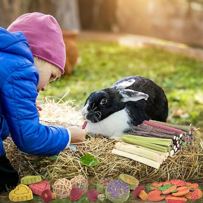 ERKOON 80PCS Bunny Chew Toys for Rabbits Teeth, Natural Rabbit Toys Apple Wood Sticks, Carrot, Timothy Grass Treats for Small Pets, Hamster, Chinchilla, Guinea Pig Dental Care and Treat Teething Toys