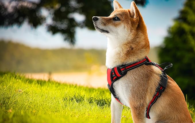 Ziggy Pet Dog Harness Adjustable Nylon Mesh Vest with Leash Clips (Red, Medium)