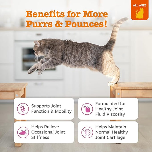 Zesty Paws Hip & Joint Bites for Cats - Glucosamine for Cats - with Chondroitin, Turmeric - Cat Joint Supplement for Hip & Joints - AlaskOmega Fish Oil with Omega-3 Fatty Acids - 60 Count