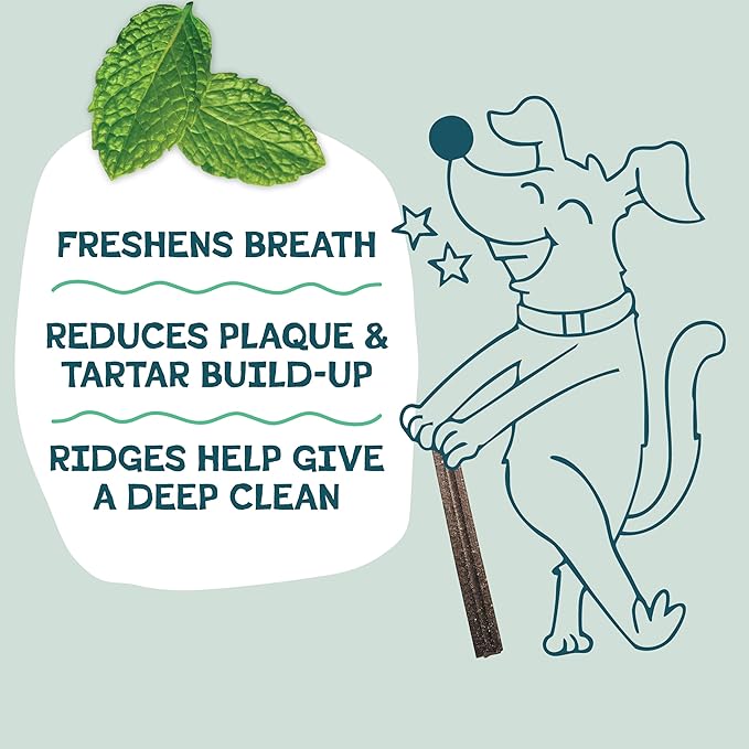 Shameless Pets Chicken & Mint Dental Chews for Dogs, 32 Chews - Natural Dog Teeth Cleaning Treats with Fresh Breath Benefits | Grain-Free Dental Sticks for Small, Medium & Large Dogs