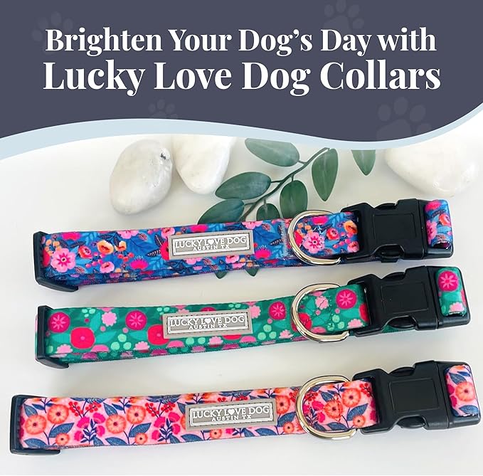 Lucky Love Dog - Easy Click Buckle Dog Collar with Leash Set Combo, Durable & Comfortable for Male & Female Dogs, Pet Collar for Small to Large Dogs, Secure Fit - Floral Rosie Combo, X-Small