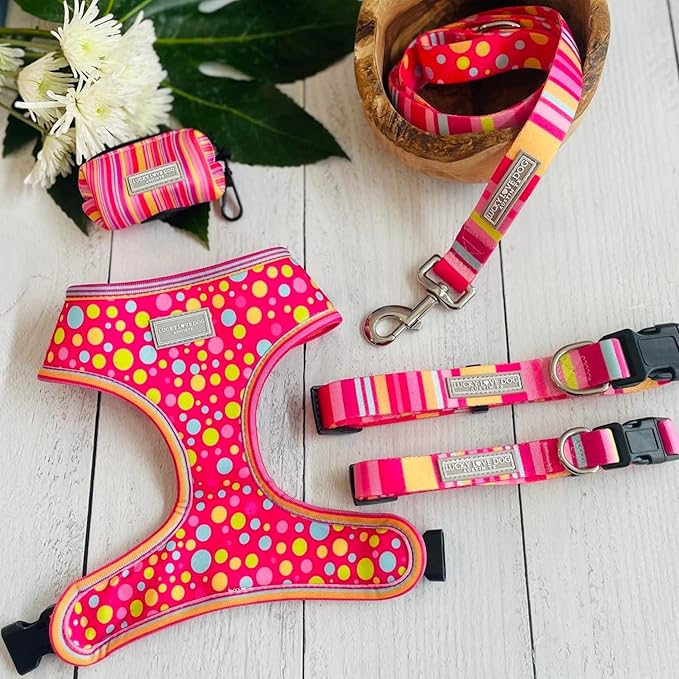 Lucky Love Dog - Easy Click Buckle Dog Collar with Leash Set Combo, Durable & Comfortable for Male & Female Dogs, Pet Collar for Small to Large Dogs, Secure Fit - Molly Combo, Small