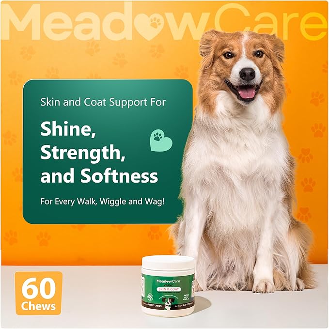 Skin and Coat Supplement for Dogs | Omega 3 Fatty Acid Formula to Support Canine Healthy Skin, Reduce Shedding, and Improve a Glossy, Shiny Coat | 60 Tasty Soft Chews 180g (6.35 oz) | by MeadowCare