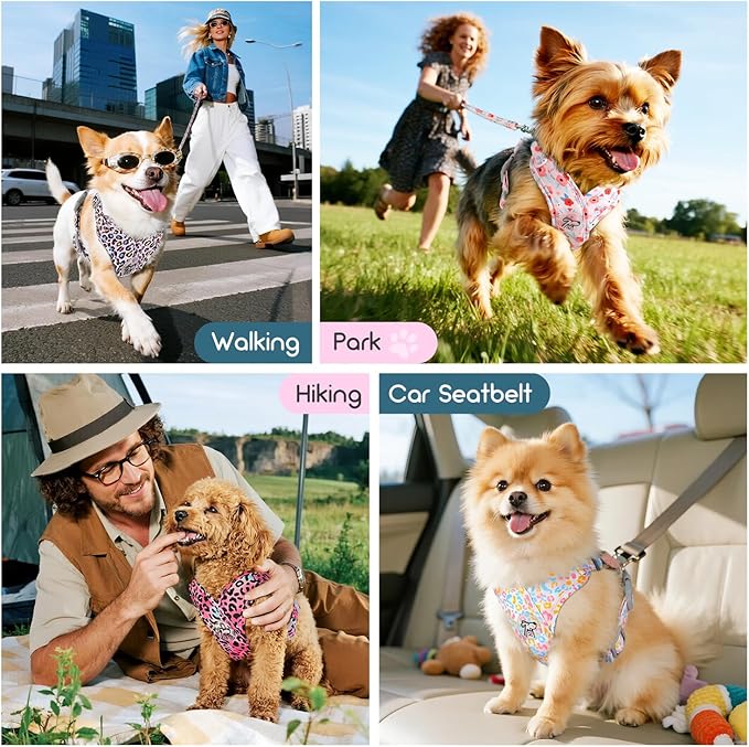 Pawaboo Small Dog Harness and Leash Set, Puppy Harness X-Frame No Pull No Choke, Dog Vest Harnesses Adjustable for Small Medium Sized Dogs,Soft Breathable Pet Harnesses for Walking, S, Pink Flowers