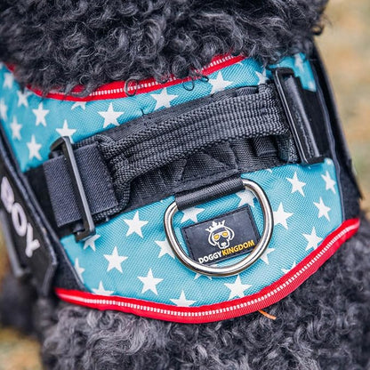 Personalized No-Pull Dog Harness with Name Patch, Adjustable, Reflective, Padded, Heavy Duty Pet Vest to Prevent Tugging, Pulling, or Choking, Training and Walking, Green, S