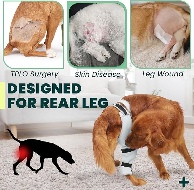 Dog Rear Leg Sleeve to Prevent Licking - Breathable Adjustable Durable Material - Single Sleeve for Back Hind Leg Wound Recovery ACL TPLO Surgery(Right-2XL)