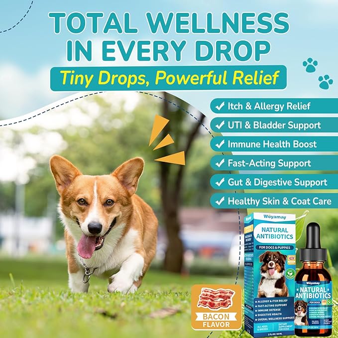 Antibiotics for Dogs | Natural Dog Antibiotics for Allergy Relief, Itch Relief, Coughs, Skin Health, Breath Treatment, Digestion | Herbal Supplement to Care for Ears, Eyes & Coat, 2 Fl Oz