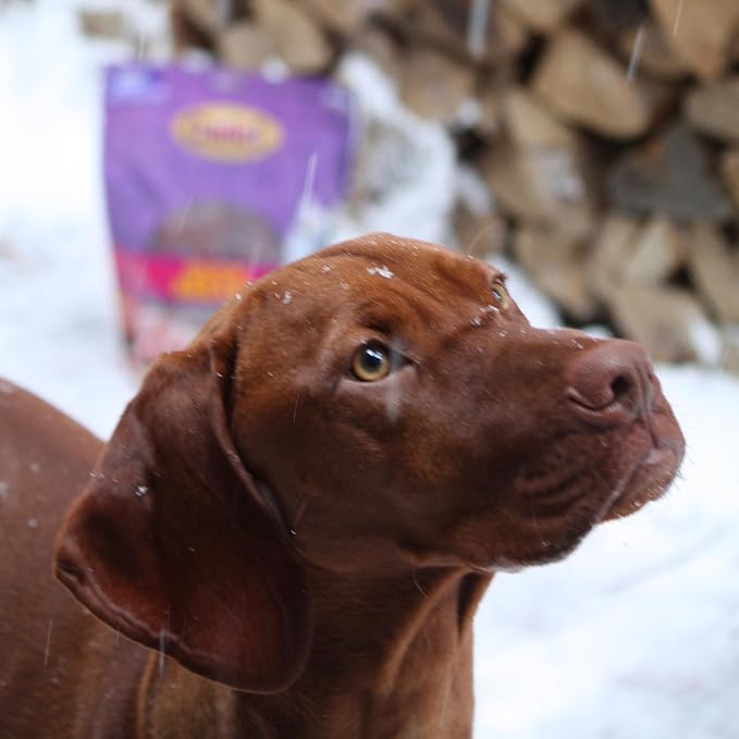 Cadet Gourmet Duck Breast Jerky Dog Treats, Healthy, Long-Lasting High-Protein Training Treats for Small & Large Dogs, 40 oz.