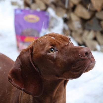 Cadet Gourmet Duck Breast Jerky Dog Treats, Healthy, Long-Lasting High-Protein Training Treats for Small & Large Dogs, 40 oz.