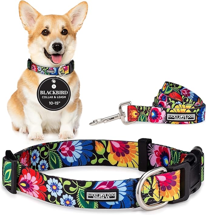 Lucky Love Dog - Easy Click Buckle Dog Collar with Leash Set Combo, Durable & Comfortable for Male & Female Dogs, Pet Collar for Small to Large Dogs, Secure Fit - Blackbird Combo, Small