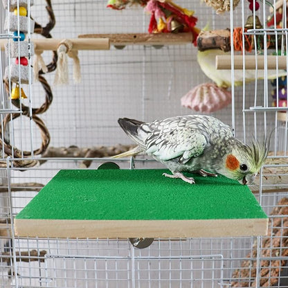 Dnoifne 7.9×5.9 Inches Large Bird Perch Stand Platform, Natural Wooden Bird Cage Accessories, Bird Stand Perch with Rough Quartz Sand Surface for Parrot, Parakeet, Budgies, Cockatiel, Rats