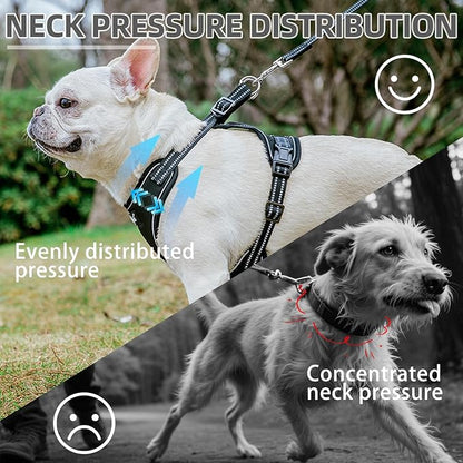 PUPTECK Dog Harness and Leash Set Small Sized, Adjustable Reflective Escape Proof Puppy Vest, No Pull Walking Harness Easy Control
