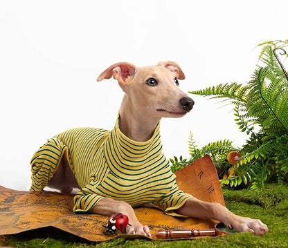 Dog Sweaters for Small Dogs Girls Boys, Striped Pet Sweaters for Fall Winter Dog Clothes, Turtleneck Pullover Knitwear for Small Medium Large Dogs