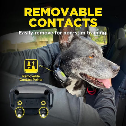 Dogtra 1900X E-Collar Additional Receiver 35 lbs+, 3/4 Mile Range, LED Light, 100 Levels of Precise Control for Stubborn Dogs, Waterproof, Boost for Quick Recall, Vibration, Safety Lock & Tone