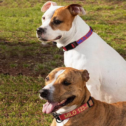 Pawtitas Personalized Dog Collar - Large, Embroidered with Name & Phone Number - Adjustable, Customized for Large Dogs & Puppies - Red