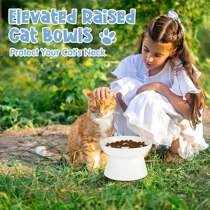 Tioncy 2 Pcs Raised Cat Slow Feeder Bowl Ceramic Elevated Cat Dog Food Bowl No Spill High Edge for Dry Wet Food and Water Easy to Clean, Dishwasher Safe(Dark Green, White)