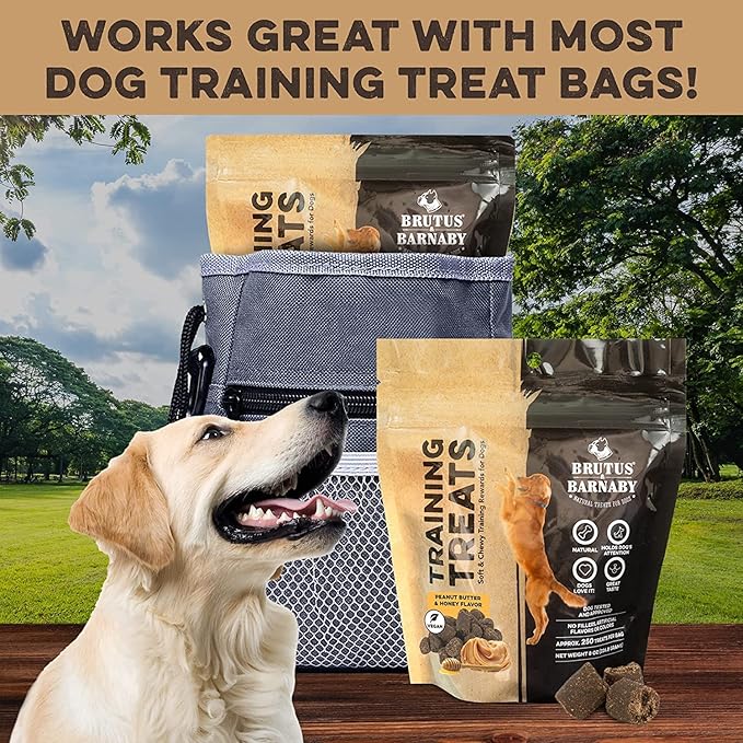 BRUTUS & BARNABY Training Treats for Dogs - Peanut Butter & Honey - All-Natural Healthy Low Calorie Vegetarian Treat - Great to Use for Rewards in Training Your Puppy Or Dog