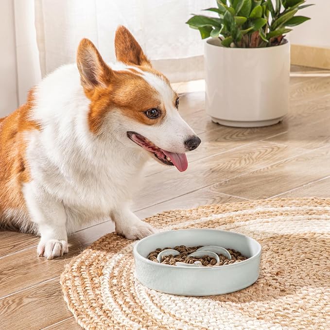 vancasso Slow Feeder Dog Bowl, 1.5 Cups Ceramic Dog Food Dish for Fast Eaters Small Breed, Puzzle Bowl for Small Dogs and Cats, Grayish Cyan