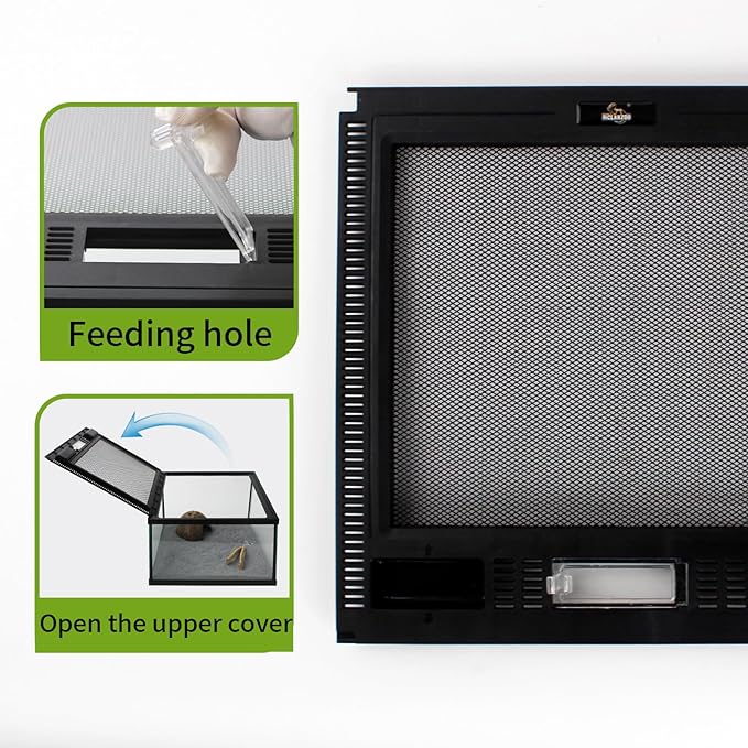 waazoorep Reptile Glass Terrarium Tank 12 * 12 * 8" Full View with Top Ventilation, Amphibians Box Habitat Enclosure Cage for Frog,Spiders,Dubia Cockroach,Praying Mantis,Cricket,Tarantula,Hermit Crab