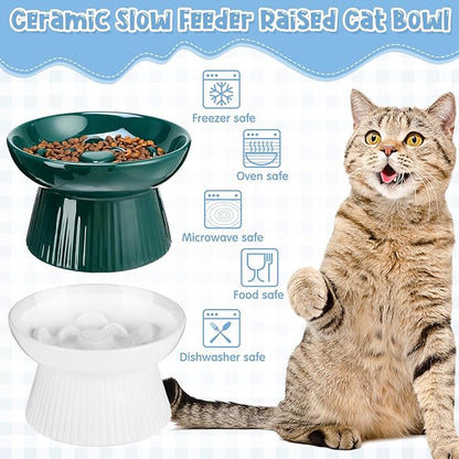 Tioncy 2 Pcs Raised Cat Slow Feeder Bowl Ceramic Elevated Cat Dog Food Bowl No Spill High Edge for Dry Wet Food and Water Easy to Clean, Dishwasher Safe(Dark Green, White)