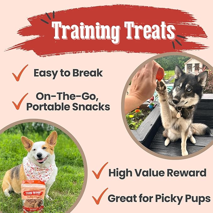 Farm To Pet Dog Training Treats, Healthy Turkey Chips for Dogs - 4 oz, 100% Human Grade Turkey Breast, All Natural, Single Ingredient, Low Allergen Treats for Dogs and Puppies, Made in USA
