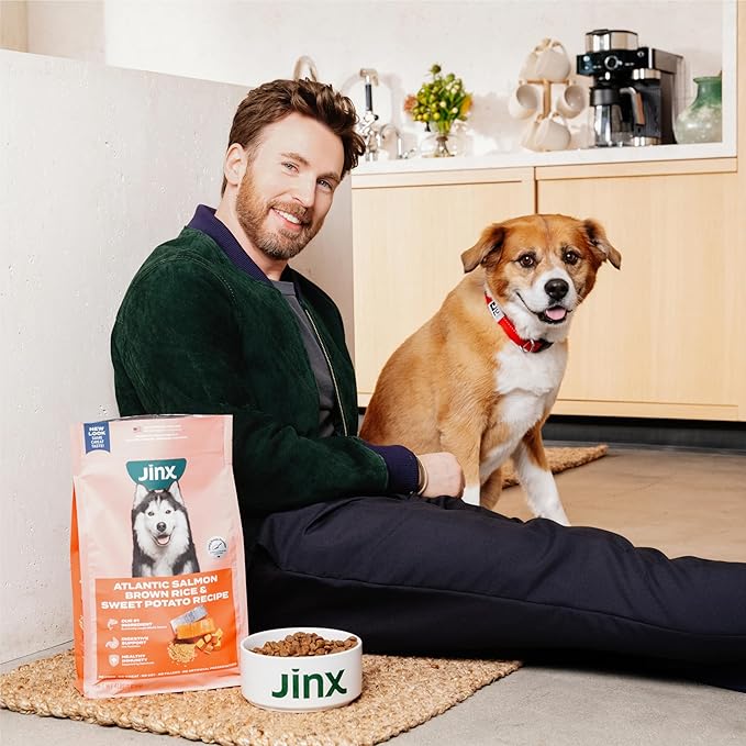 Jinx Premium Grain-Free Dry Dog Food, for All Lifestages - Grass-Fed Lamb, Sweet Potato & Carrot Dog Food with Superfoods for Immune Support & Probiotics for Digestive Support - No Fillers - 23.5lb