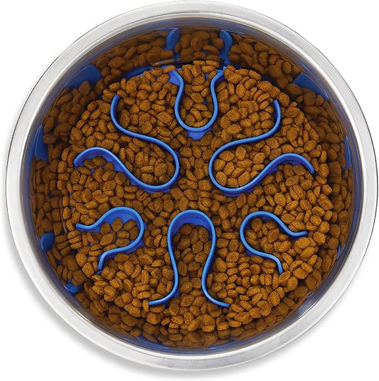 Outward Hound Stainless Steel Slow Feeder Bowl, Plastic Puzzle Maze for Fast Eaters, Small to Medium Dogs, Helps Prevent Bloat & Aid Digestion, Holds 2 Cups Wet or Dry Food, Non-Slip, Made Without BPA
