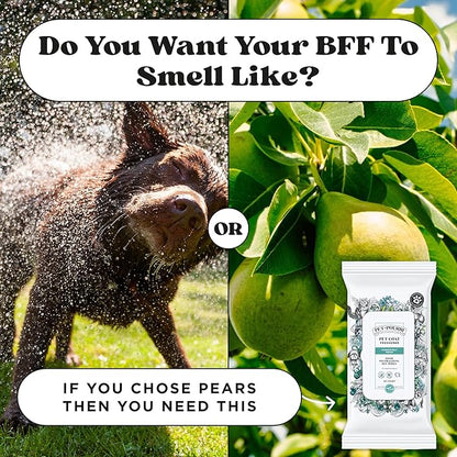 Poo-Pourri Pawsitively Fresh Deodorizing Pet Wipes – Quick Cleaning Wipes for Dogs & Cats – Plant Based Ingredients – Vet Recommended – Cleaner Odor Remover Wipes for Paw, Fur & Skin Soothing