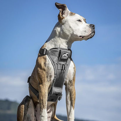 Kurgo Tru-Fit Smart Dog Walking Harness - Comfortable Fit - Adjustable Harness - Reflective Pet Wear - Quick Strap Release - Daily Walk Accessory - Includes Seat Belt Loop - Grey - X-Large