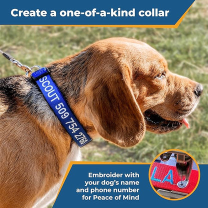 GoTags Personalized Dog Collar, Custom Embroidered with Pet Name and Phone Number in Blue, Black, Pink, Red and Orange, for Boy and Girl Dogs or Cats, Adjustable Sizes, Small, Medium, and Large