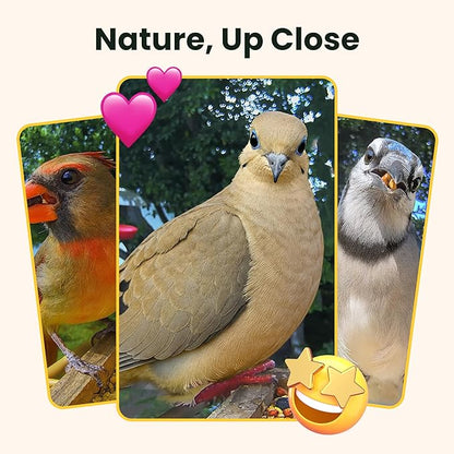 Birdfy Smart Bird Feeder with Camera Solar Powered, Night Insight & Slow-Motion Video for Outdoors & Backyard Birds Watching, AI Identify 6000+ Species by Subscription, Wood