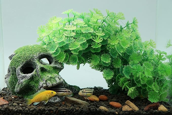 AQUA KT Aquarium Landscape Head Skeleton Skull Rock Fish Hiding Place Cichlid Cave for Gold Betta Fish Tank Decoration Freshwater or Marine Aquariums