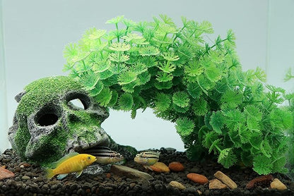 AQUA KT Aquarium Landscape Head Skeleton Skull Rock Fish Hiding Place Cichlid Cave for Gold Betta Fish Tank Decoration Freshwater or Marine Aquariums