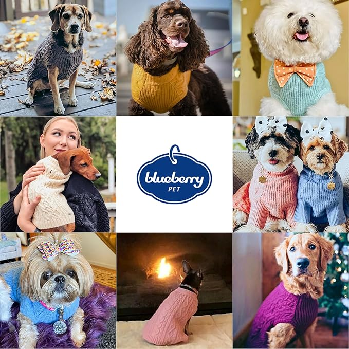 Blueberry Pet Classic Fuzzy Textured Knit Pullover Dog Sweater, Dark Olive, Small Pet Clothes, Fleece Dog Sweater, Pet Clothing, 12" Back Length