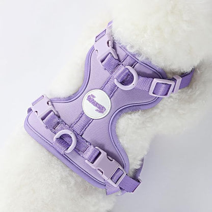 HNS1001H Arlo Small Adjustable Soft Padded No Pull Pet Harness with 3 Buckles and 3 Leash Clips, Bramble
