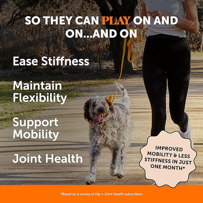 Pet Honesty Hip & Joint Health - Soft Chews for Dogs, Joint Supplement with Glucosamine Chondroitin, MSM, Turmeric, Joint Support + Mobility, May Reduce Occasional Discomfort (Bacon 90 Count)