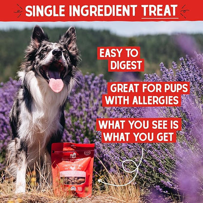 Stella & Chewy's Freeze-Dried Raw Chicken Heart Dog Treats - Single Ingredient, No Additives - Premium Training Treats - Perfect For Picky Eaters - 3oz Bag