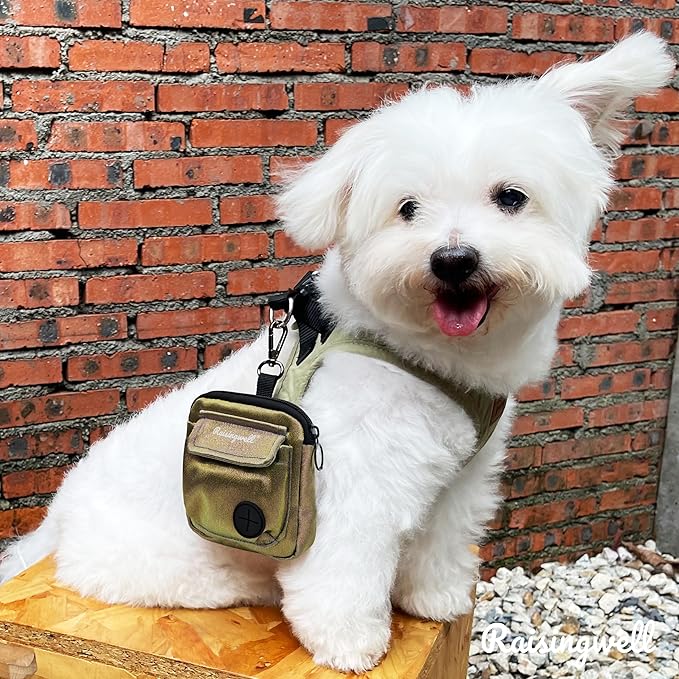 Dog Treat Pouch for Pet Walking and Training with Clicker Poop Bags and Double Bag Design Small Fanny Zipper Pack Holder for Puppy Snack Dispenser Kit for Leash and Outdoor Use (NM-Bronze