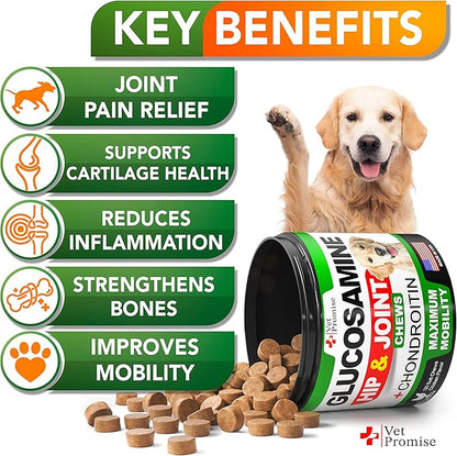 Glucosamine for Dogs - Hip and Joint Supplement for Dogs - Glucosamine Chondroitin - Joint Pain Relief Pills - MSM - Advanced Health Support Supplement - 120 Mobility Chews - Made in USA