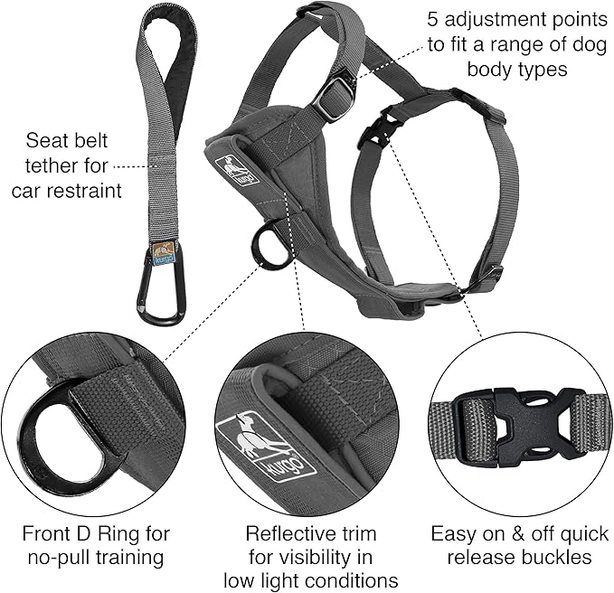 Kurgo Tru-Fit Smart Dog Walking Harness - Comfortable Fit - Adjustable Harness - Reflective Pet Wear - Quick Strap Release - Daily Walk Accessory - Includes Seat Belt Loop - Grey - X-Large