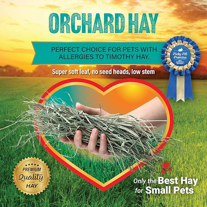 Small Pet Select Orchard Grass Hay Pet Food, 20 Lb.