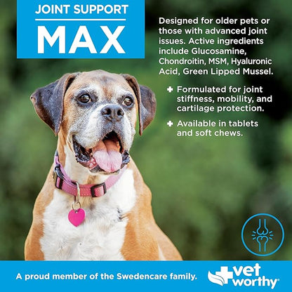 Vet Worthy Joint Support Max Soft Chews - Bone and Joint Supplement for Dogs - Rich in Glucosamine Chondroitin for Dogs & MSM - Formulated for Stiffness, Mobility, and Cartilage Protection – 60 Count