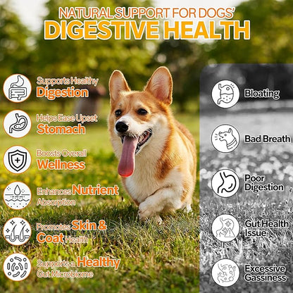 Probiotics for Dogs,6 Digestive Probiotics & 6 Enzymes for Gut Health,Digestion & Gut Support,Helps Diarrhea, Yeast Infection, Upset Stomach,Allergies & Immune System Support-300 Chews
