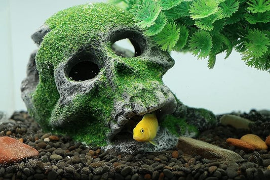 AQUA KT Aquarium Landscape Head Skeleton Skull Rock Fish Hiding Place Cichlid Cave for Gold Betta Fish Tank Decoration Freshwater or Marine Aquariums