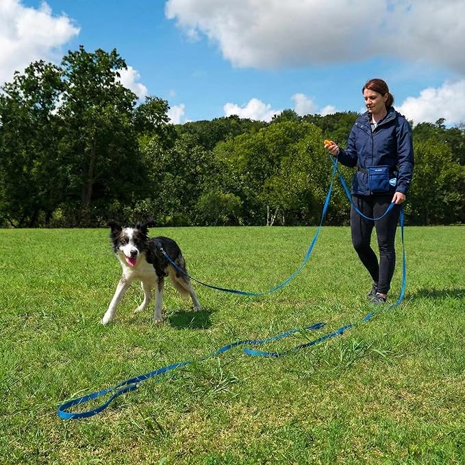 PupSensei Dog Training Kit & Puppy Starter Set with 30ft Long Leash – Complete Recall System w/Magnetic Treat Pouch, Clicker, Collapsible Bowl & Waste Bags – Professional Tools (Navy Blue)