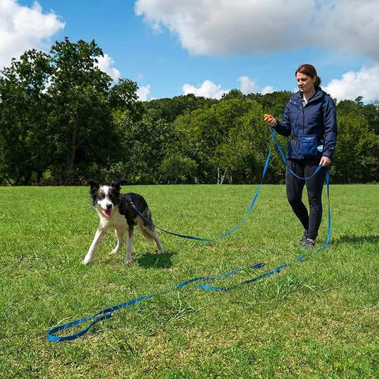PupSensei Dog Training Kit & Puppy Starter Set with 30ft Long Leash – Complete Recall System w/Magnetic Treat Pouch, Clicker, Collapsible Bowl & Waste Bags – Professional Tools (Navy Blue)