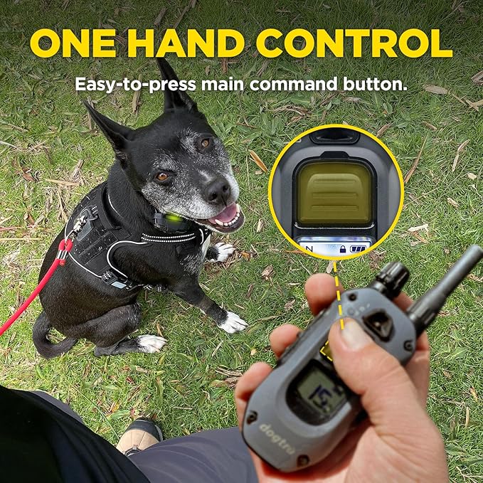 Dogtra X-Series X1 E-Collar Remote Transmitter Only (Compatible with 280X) 10 lbs+, 1/2 Mile Range, LED Light, 100 Levels of Precise Control for Stubborn Dogs, Waterproof, Boost for Quick Recall