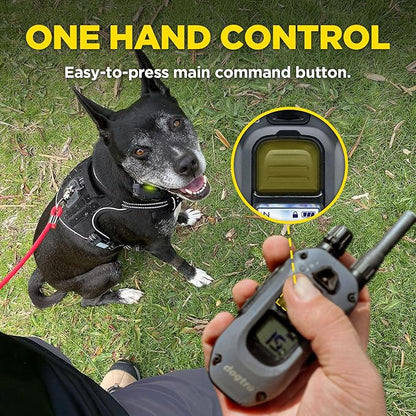 Dogtra X-Series X1 E-Collar Remote Transmitter Only (Compatible with 280X) 10 lbs+, 1/2 Mile Range, LED Light, 100 Levels of Precise Control for Stubborn Dogs, Waterproof, Boost for Quick Recall